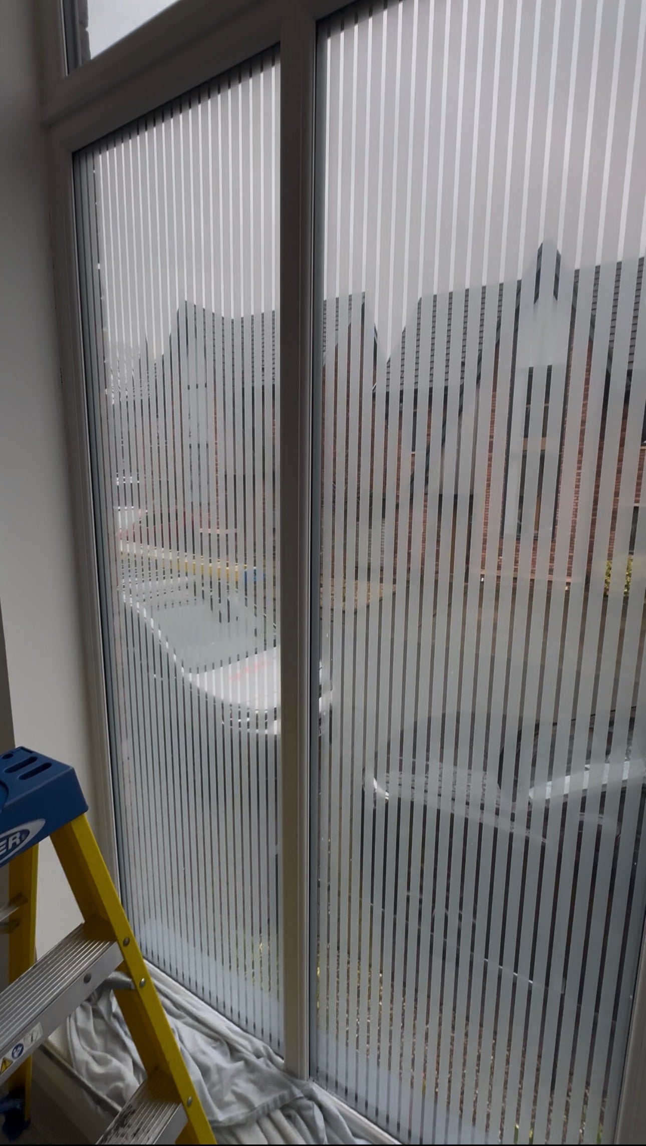 Frosted Lines